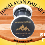 Natural Energy Himalayan Silajit 25gm