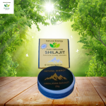 Natural Energy Himalayan Silajit 25gm